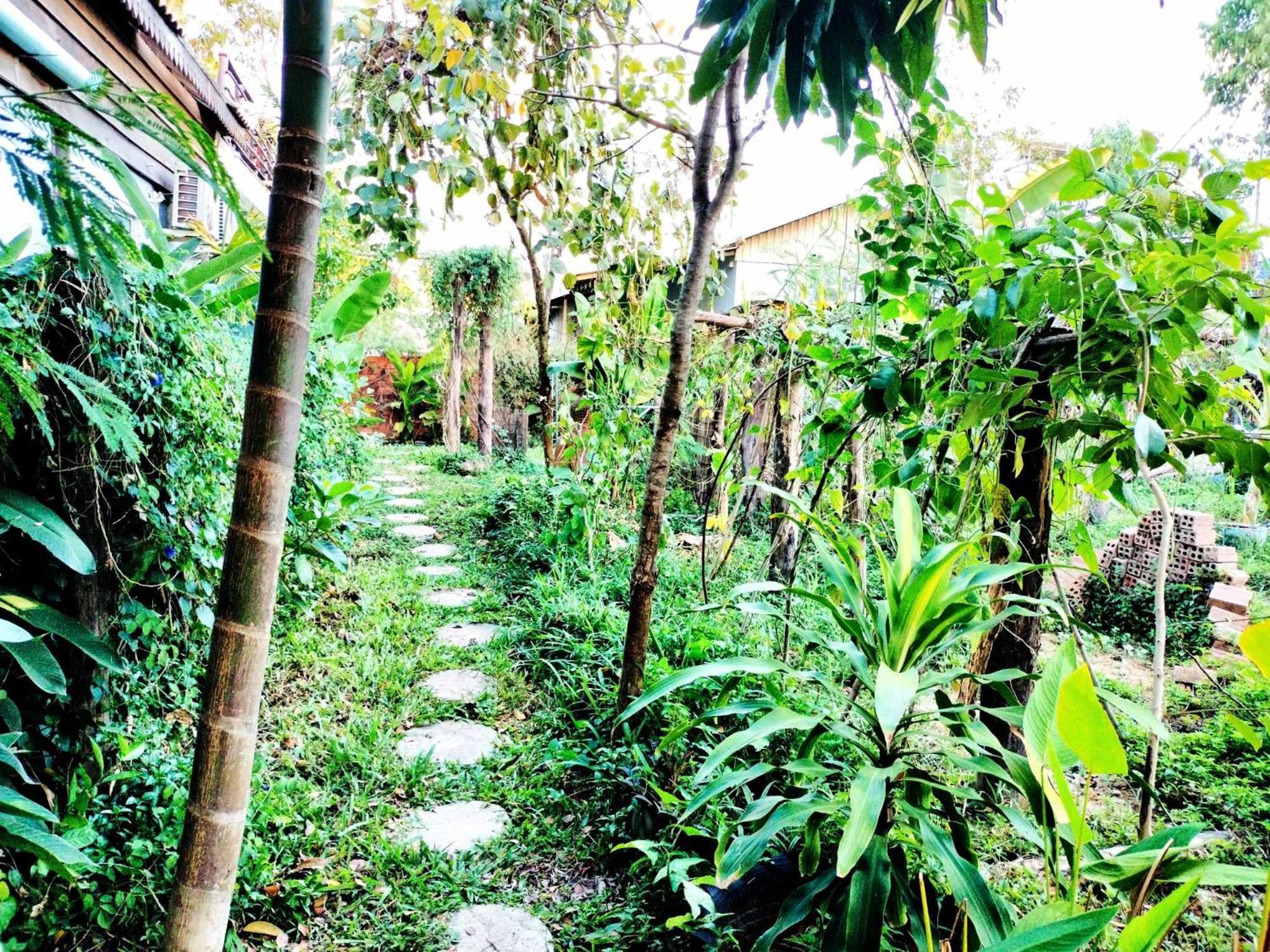 Urban Farmhouse Siem Reap Ngoại thất bức ảnh