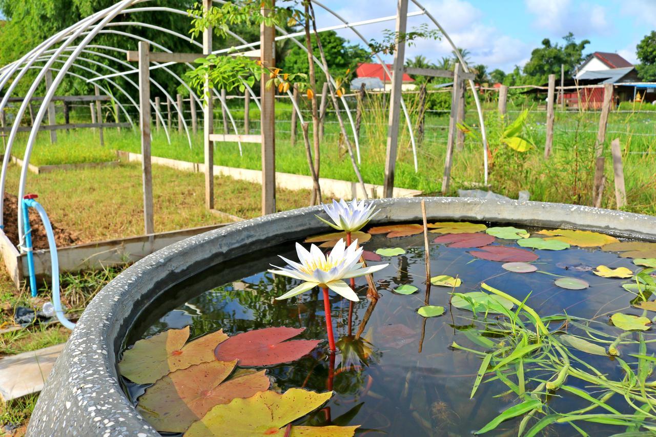 Urban Farmhouse Siem Reap Ngoại thất bức ảnh